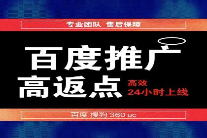 谷歌SEM案例研究：数据分析与效果评估